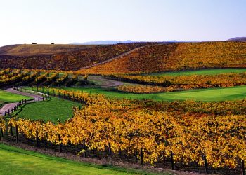 Chardonnay Golf Club