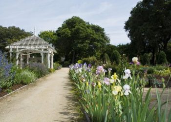 Elizabeth F. Gamble Garden