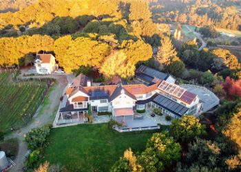 Pacific Oaks Vineyard Estate