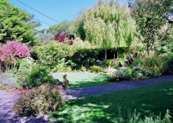 Compass Rose Gardens