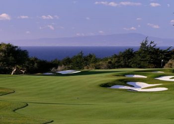 Bayonet and Black Horse