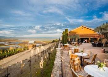 Viansa Winery & Vineyards